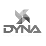Dyna Png grey