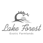 Real estate advertising in india